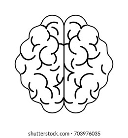 human brain topview  icon image 