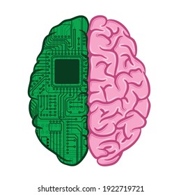 Human brain with two halves. Live brain organ and electric circuit green motherboard with cpu