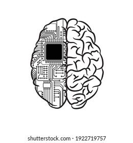 Human brain with two halves. Live brain organ and electric circuit green motherboard with cpu