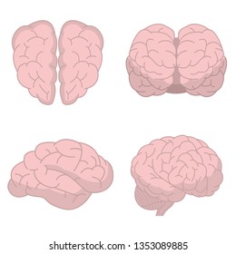 Human brain vector design illustration isolated on white background