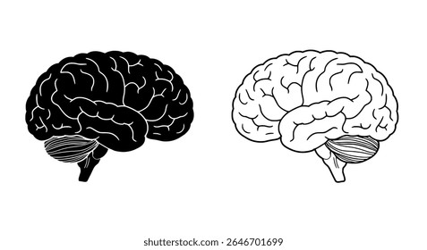 Human Brain Vector in Dual Tone - Flat Design for Neuroscience, Cognitive Health, Education, and Medical Illustration