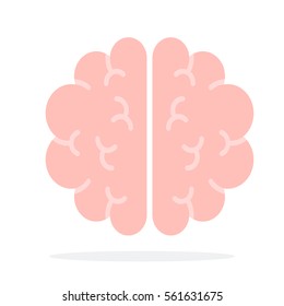 Human brain vector flat material design object. Isolated illustration on white background.