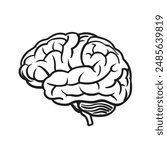 Human brain vector hand drawn. Vector anatomy illustration of the human brain
