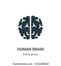 Human brain vector icon on white background. Flat vector human brain icon symbol sign from modern education collection for mobile concept and web apps design.