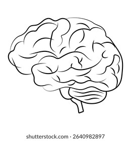 Human brain vector, Human brain icon vector, symbol Mind sign, thinking, idea icon. Human brain design for logo, medical science, app, UI, UX. Vector illustration.