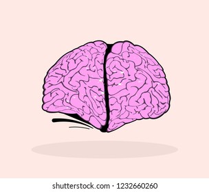 Human brain vector illustration