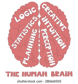 The human brain vector illustration 