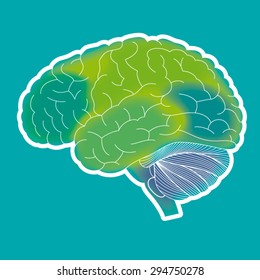 Human brain vector illustration