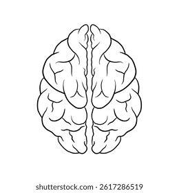 Human Brain Vector Illustration, Anatomical Outline, Intelligence Symbol, Brain Structure Vector, Neurological Illustration