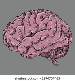 human brain vector line art black and white color