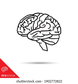 Human Brain Vector Line Icon