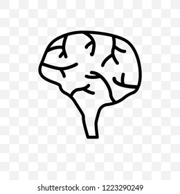 Human Brain Vector Linear Icon Isolated Stock Vector Royalty Free Shutterstock