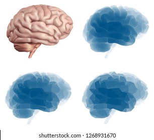 human brain. Vector set in different styles. meshe