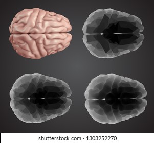 human brain. Vector set in different styles. 