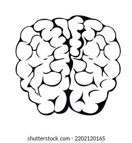 Human brain vector stock illustration. Organ of nervous system. Isolated on a white background.