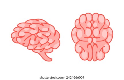 Human brain viewed from the side and top, in soft pink tones, representing the complexity of the human mind