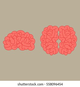 Human brain views set -vector icons