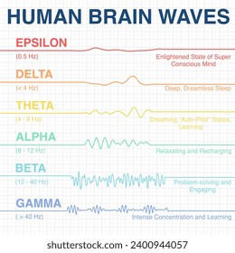 Human brain wave frequency graphics. Vector illustration. electroencephalogram. illustration of medical electroencephalography- Eeg on chart paper.