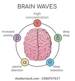 Human brain waves. Alfa beta gamma delta theta wave brain activity isolated vector illustration