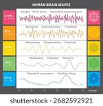 Human Brain Waves Diagram Colors and Chakras with Explanations - English Vector