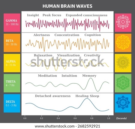 Human Brain Waves Diagram Colors and Chakras with Explanations - English Vector