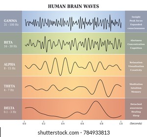 Brain Waves Frequency Chart