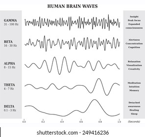 Human Brain Waves Diagram, lllustration in Black and White