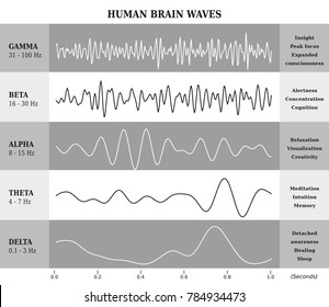 Human Brain Waves Diagram, lllustration in Black and White