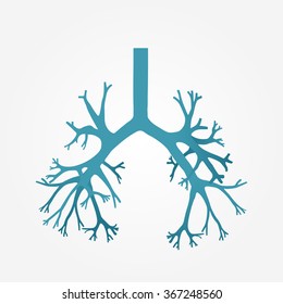 Human bronchus in vector.