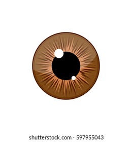 Human brown eyeball iris pupil isolated on white background. Eye Vector Illustration