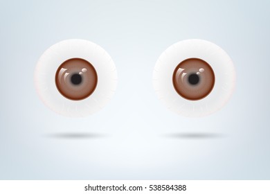 Human brown eyes balls pupil. Medical visual material. Vector illustration
