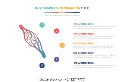 Human Capillary Infographic Template Concept With Five Points List And Various Color With Clean Modern White Background - Vector