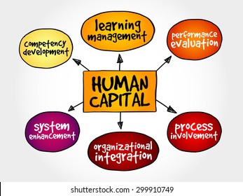 Human capital mind map, business management strategy concept