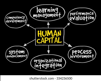 Human capital mind map, business management strategy concept