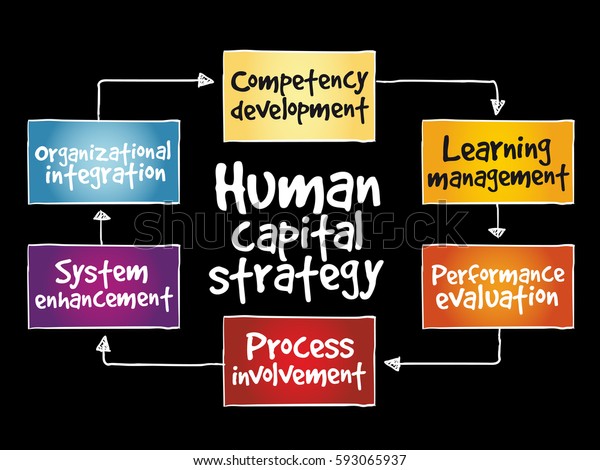 Human Capital Strategy Mind Map Business Stock Vector (Royalty Free ...