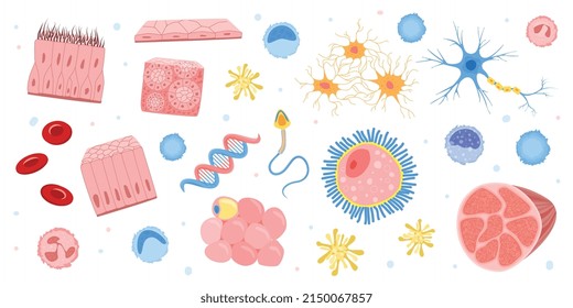 Human cells flat set of isolated icons with colorful images of microorganisms and internal bacteria shapes vector illustration