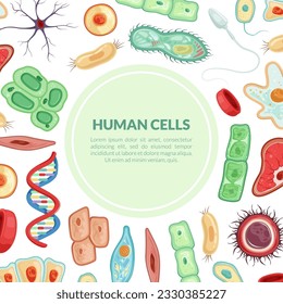 Human Cells Square Card as Medicine and Biology Vector Template