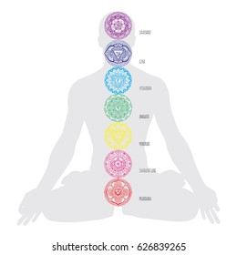 Human chakras. Scheme.