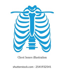 Human Chest bones illustration, A vector drawing of human body organ, An element for creating orthopaedic hospital logo