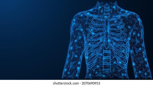 The human chest. The front part of the spine with ribs. A low-poly model of interconnected lines and points. Blue background.