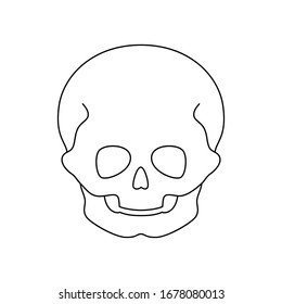 Human child skull anatomy. Flat vector medical illustration isolated. Structure of kid facial skeleton. Cranium diagram in anterior front view. Educational, science poster. 

