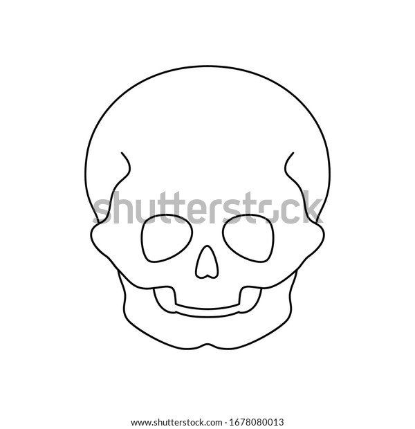 人間の子どもの頭蓋骨の解剖学 平らなベクター画像の医療イラスト 子供の顔の骨格の構造 前正面図の頭蓋図 教育 科学のポスター のベクター画像素材 ロイヤリティフリー