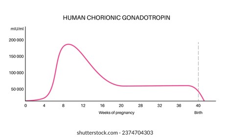 Nivel de gonadotropina coriónica humana durante el embarazo. HCG en el cuerpo femenino, infografía de valores máximos y mínimos. Las hormonas femeninas cambian de las primeras semanas a la ilustración del vector de parto