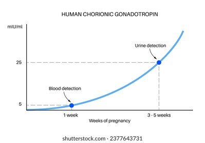 Aumento del nivel de gonadotropina coriónica humana. Detección de hCG en infografías de sangre y orina. Período de interrupción de la menstruación. Hormonas femeninas durante las primeras semanas de gestación ilustración vectorial