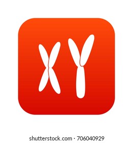 Human chromosomes icon digital red for any design isolated on white vector illustration