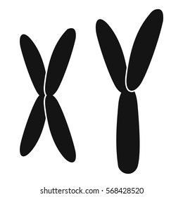 Human Chromosomes Icon. Simple Illustration Of Human Chromosomes Vector Icon For Web