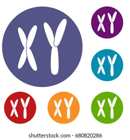 Human chromosomes icons set in flat circle red, blue and green color for web