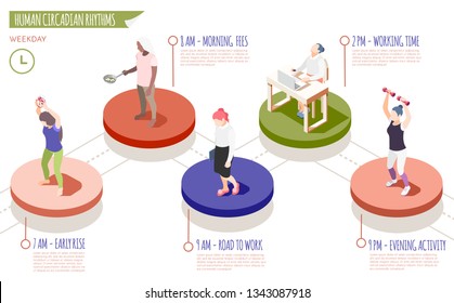 Human circadian rhythms isometric infographics with early rise morning fees road to work working time and evening activity descriptions vector illustration