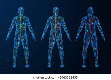 Human circulatory and nervous system. Polygonal design of interconnected lines and dots. Blue background.