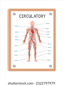 Menschliches Kreislaufsystem Poster Clip Art Cartoon Stil, Vektordesign. Anwendung in Krankenhaus-oder Klinik Wand-Plakatkartoon Konzept. Diagramm des Kreislaufsystems Krankenhaus-Konzept der Klinik